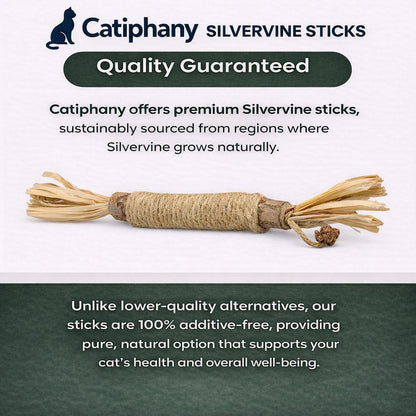 Catiphany Natural Silvervine Dental Sticks