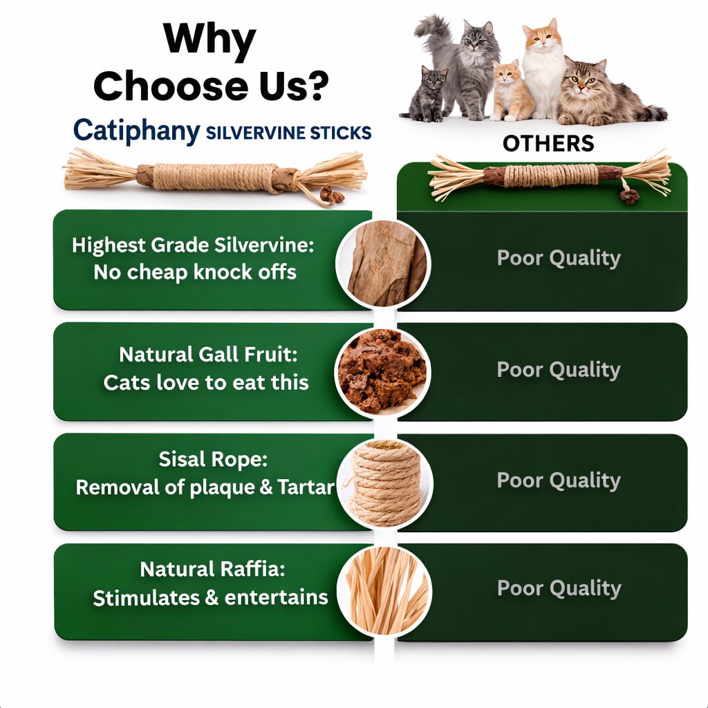 Catiphany Natural Silvervine Dental Sticks