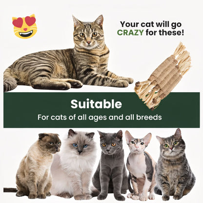 Catiphany Natural Silvervine Dental Sticks
