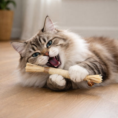 Catiphany Natural Silvervine Dental Sticks