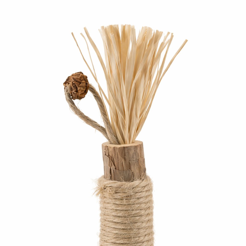 Catiphany Natural Silvervine Dental Sticks