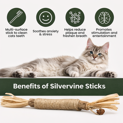 Catiphany Natural Silvervine Dental Sticks
